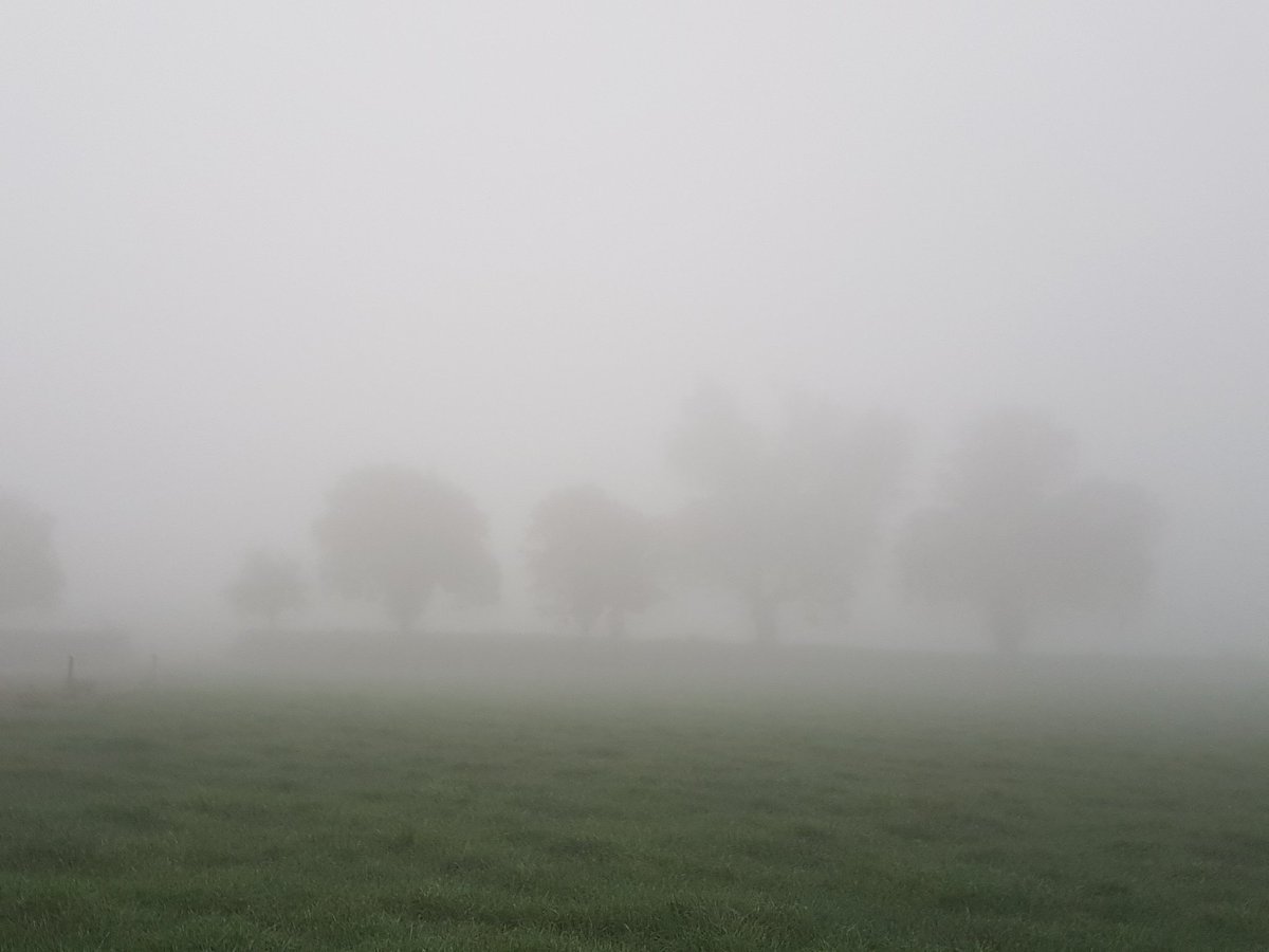 muirtwit's tweet photo. #foggy start to the day, glorious weather now though!!! #isitnovember tomorrow??!! https://t.co/ZMTKvDlVsj
