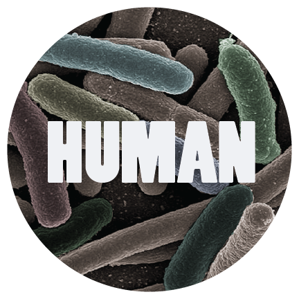 NASEM_Chem's tweet photo. Following our #ChemRoundTable? Tune in Wednesday, Nov. 9 for our next series installation on the #HumanMicrobiome https://t.co/KwvCougRZO https://t.co/djmKxFSi7A