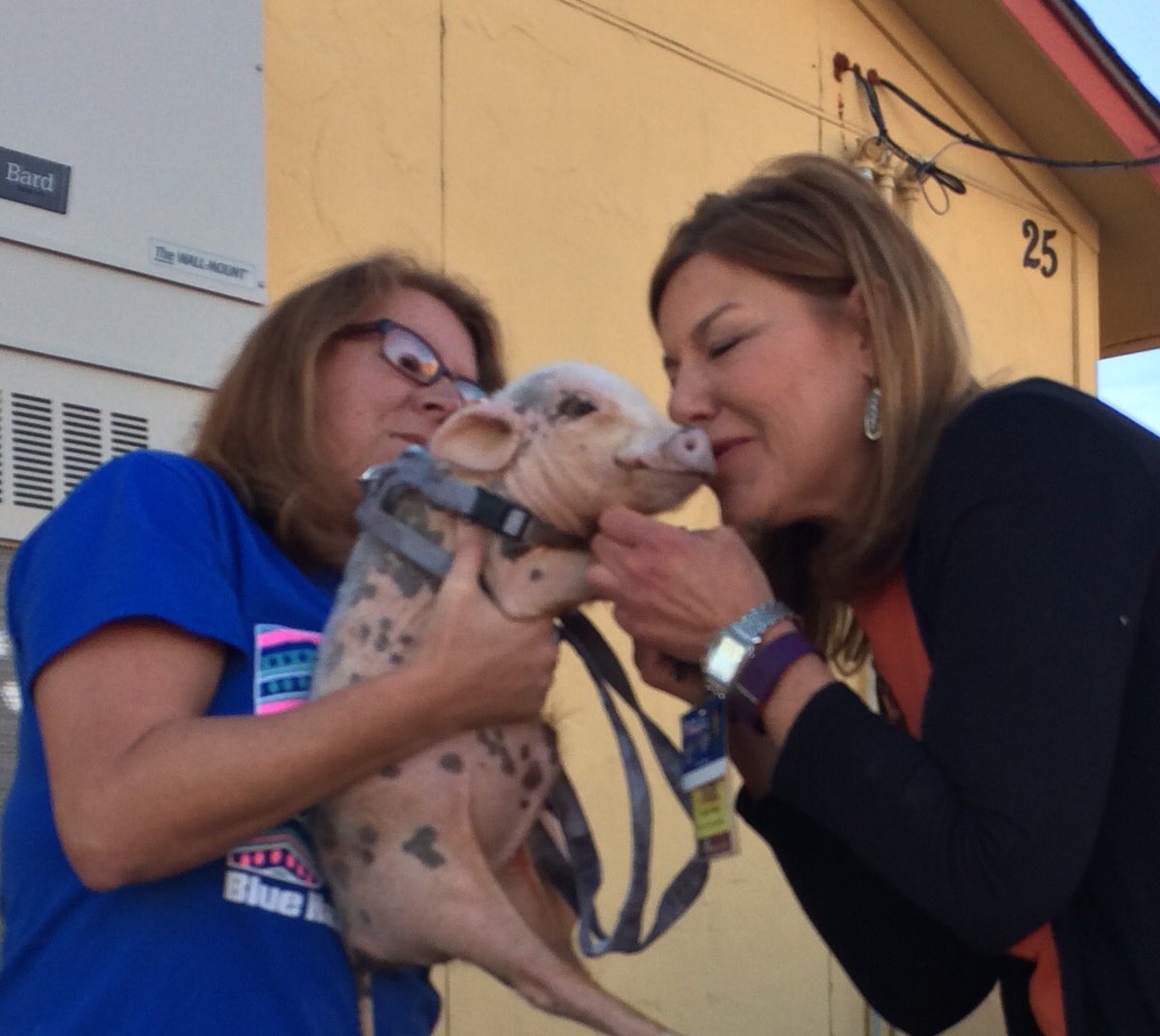 Ms. Mayer tweet media