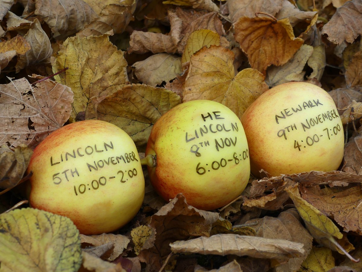Happy Halloween! register now for our Open Days: lincolncollege.ac.uk/open-days