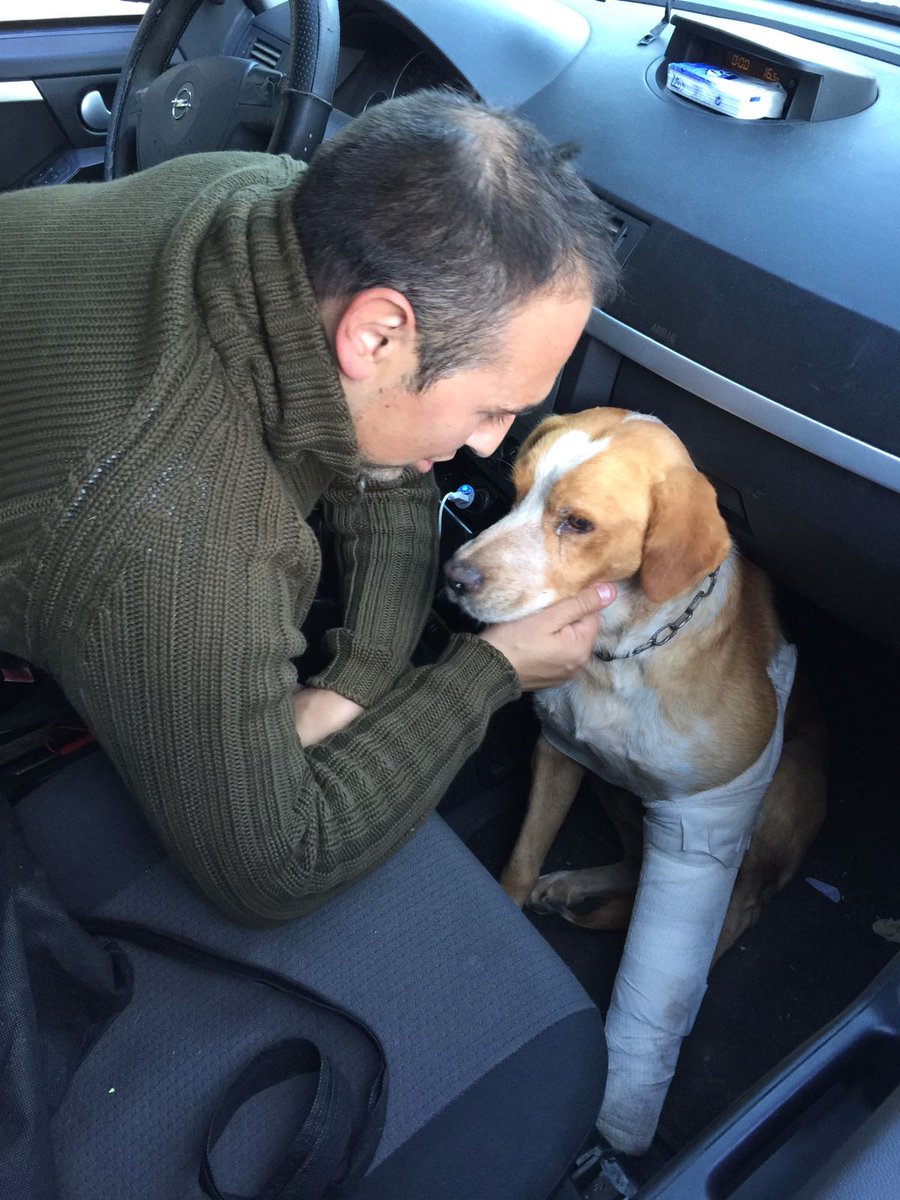 enpaonlus's tweet photo. Pino è partito per Roma. La sua zampa sarà curata in clinica. #forzaPino https://t.co/BmA4RM8tzs