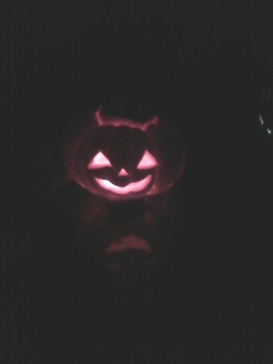 antonyspegkas's tweet photo. Happy Halloween!
#halloween #trickortreat #jackolantern https://t.co/bKLd8UQQZZ