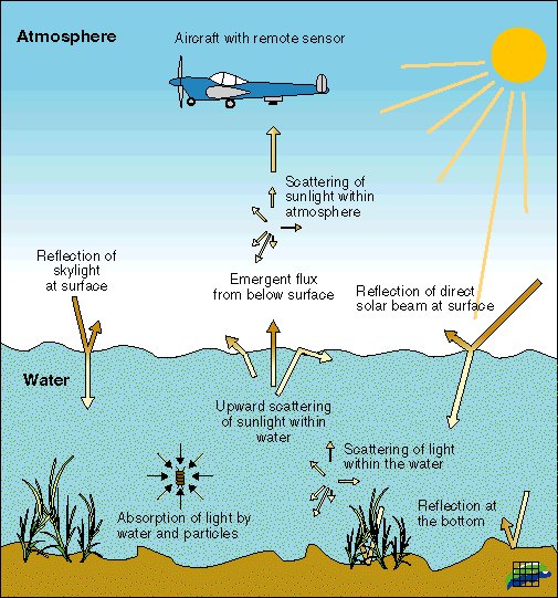 This photo illustrates some of the challenges when using remote sensing to scan aquatic environments from a plane. #SSCI301