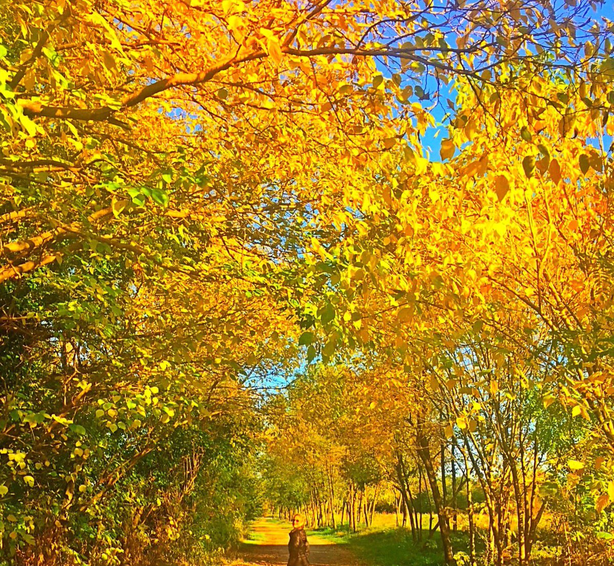 AxinteAdina's tweet photo. #landscapephotography #italy #halloween #HappyHalloween #love #NaturePhotography #life #Autumn ☀️ https://t.co/OtMULjTvHt