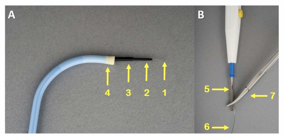 DrSethdb's tweet image. #Transcaval experience n=100
#TCT2016
&amp;gt;Gr8 translational project from @nih_nhlbi to @HenryFordNews
@JACCJournals
content.onlinejacc.org/data/Journals/…