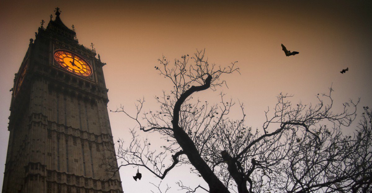 Boss Revolution UK tweet media