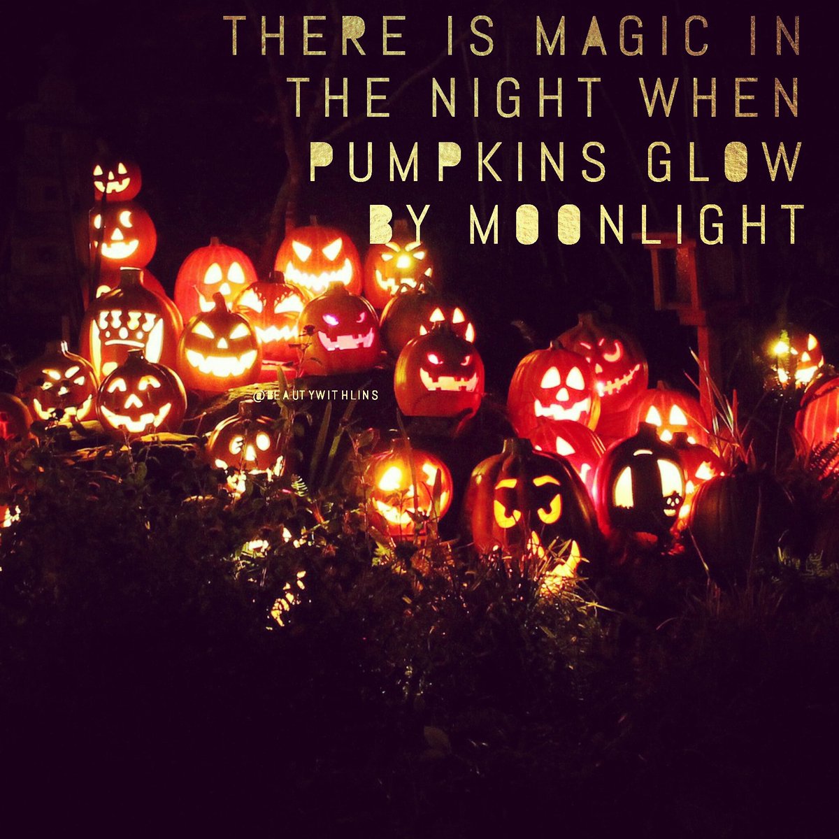 beautywithlins's tweet photo. Happy Halloween! #halloweenmagic https://t.co/BUm9qVD7cX