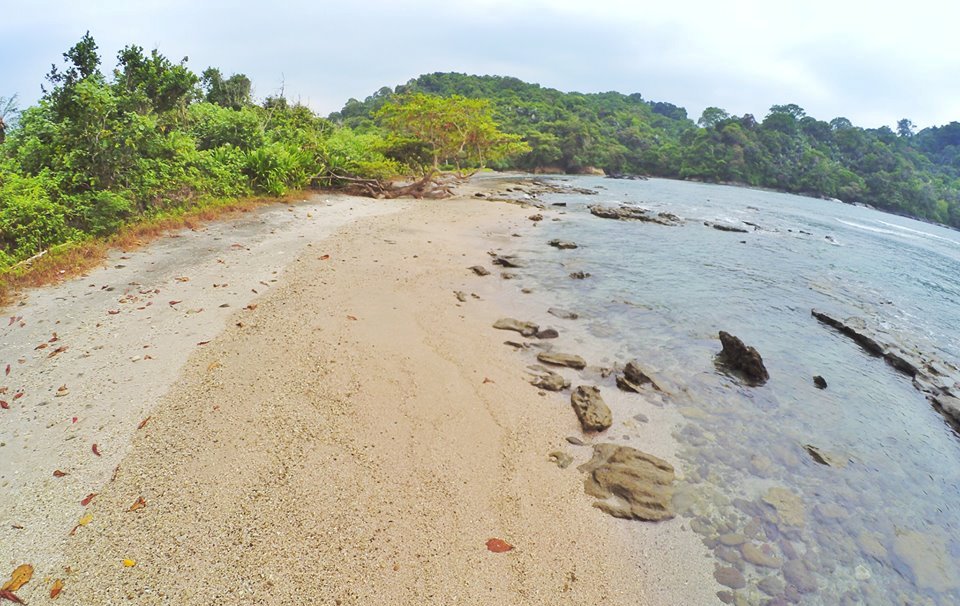 WiedWiedha's tweet photo. Merekam Jejak di Pantai Selok Pipo @VisitJawaTengah
https://t.co/yUx70aRfhy
#BlogJateng2016 #JatengGayeng #PesonaJawaTengah https://t.co/xgLDZpR9UJ