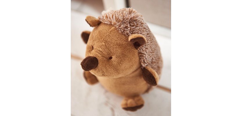 LoveWilko's tweet photo. Remember to check your #bonfire in case any hedgehogs have hidden inside #WilkoTips https://t.co/cBCR5Tgy3S https://t.co/Uqbyb3NCEN