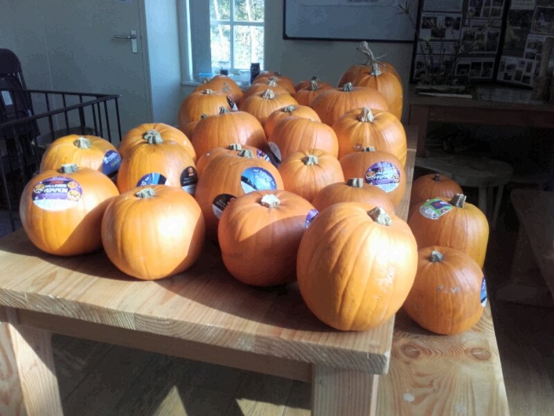 RangerDartmoor's tweet photo. Getting ready for the Ranger Ralph Halloween event at #burrator with our partner's #swlt https://t.co/b1F3kkP5Qw