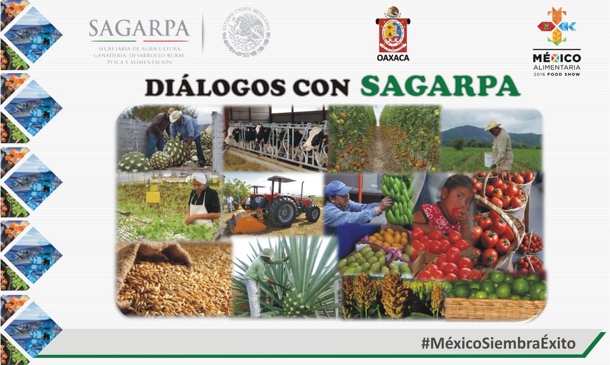 RigobertoGomez_'s tweet photo. En el DDR del #Istmo se realiza hoy #Diálogos con @SAGARPA_Oax para mayor acercamiento con los productores @LinoVelazquez @ppcalzada https://t.co/HIFqg7GDss