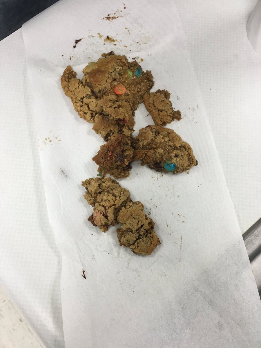 PHScullinary's tweet image. Today was a pretty eventful day. We made monster cookies, found a live mouse in our oven and named 2 squirrels in the courtyard.
