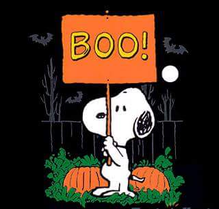 DrFinnMedicine's tweet photo. @Roxy_Finn Happy Halloween... https://t.co/TiobJKK3CO