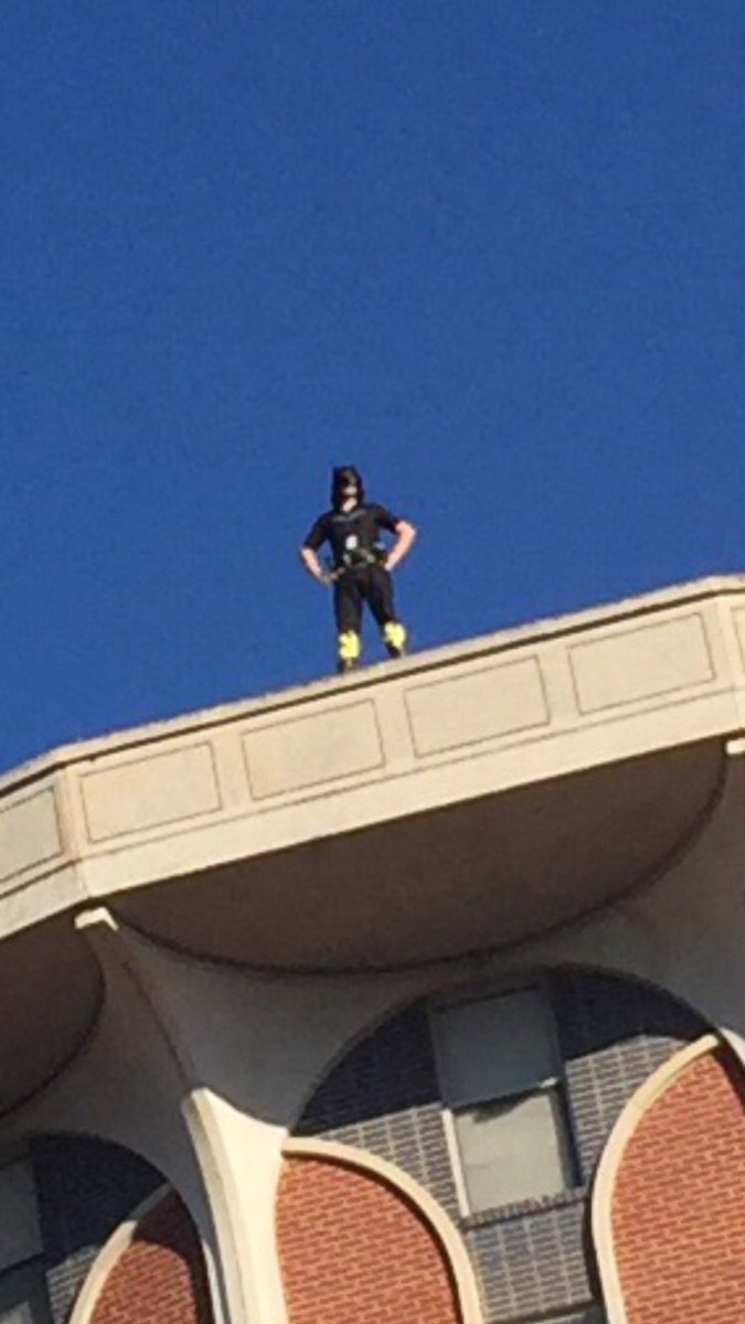 All Things TEXAS tweet media