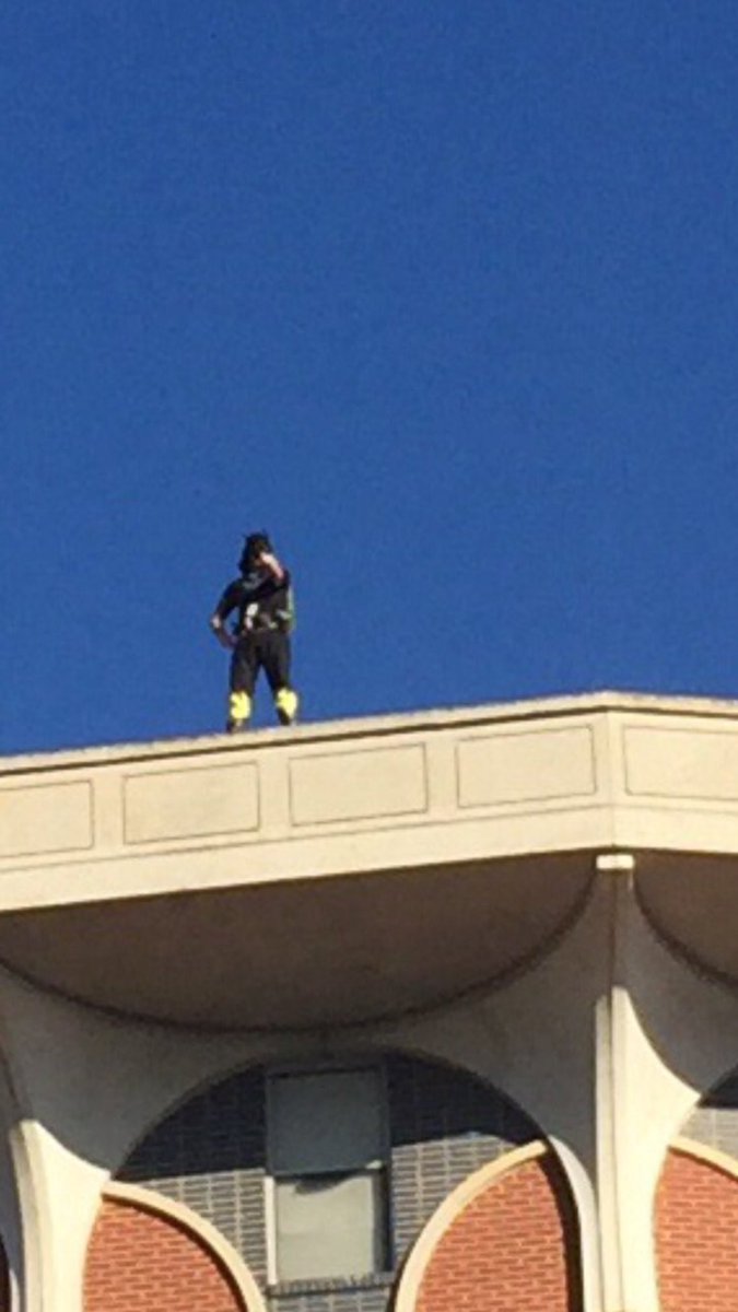 All Things TEXAS tweet media