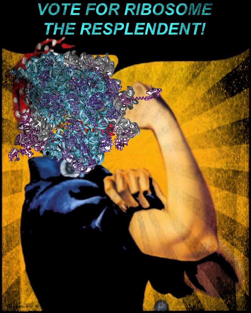 RlyRadRibosomes's tweet photo. Ribosomes are the greatest!!!!!!! #organellewars https://t.co/dTz3ObwG6Q