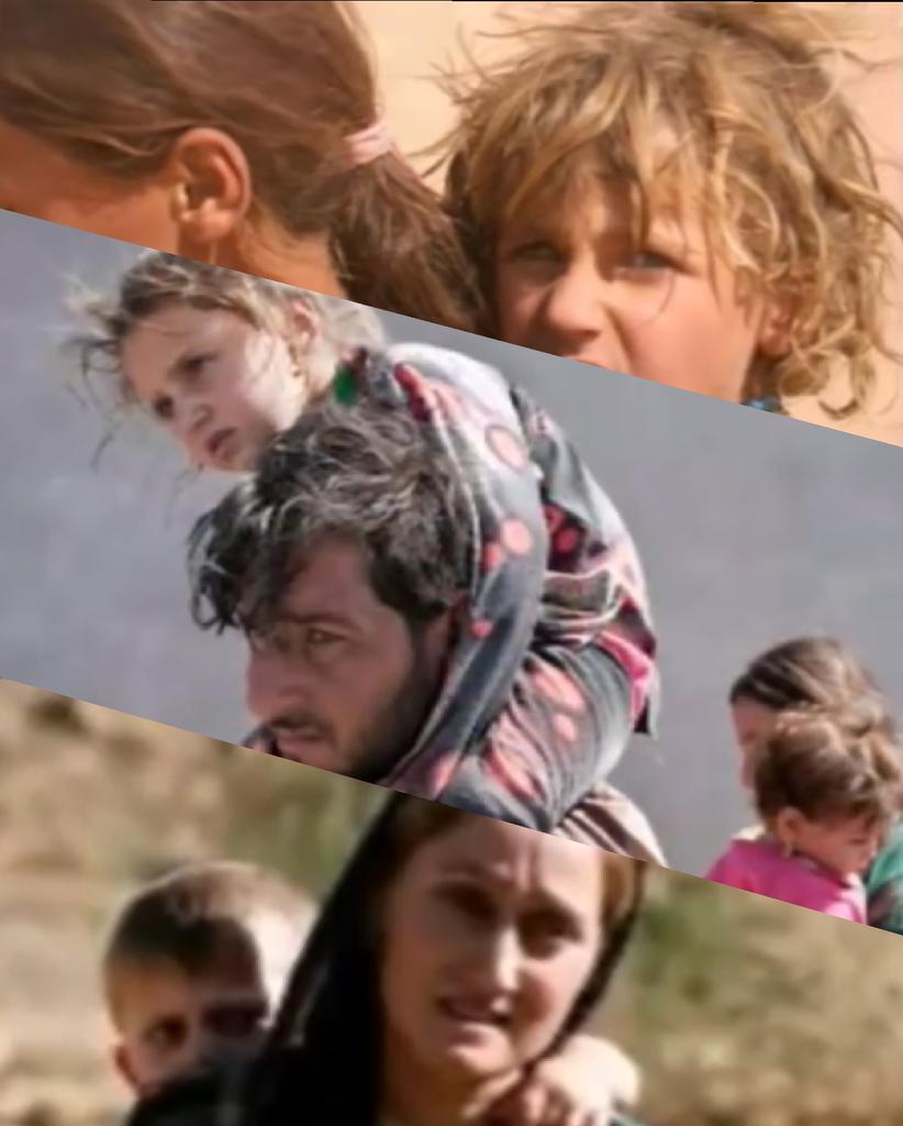 #نعم_Yes
#للهجرة_الجماعية
#mass_migration