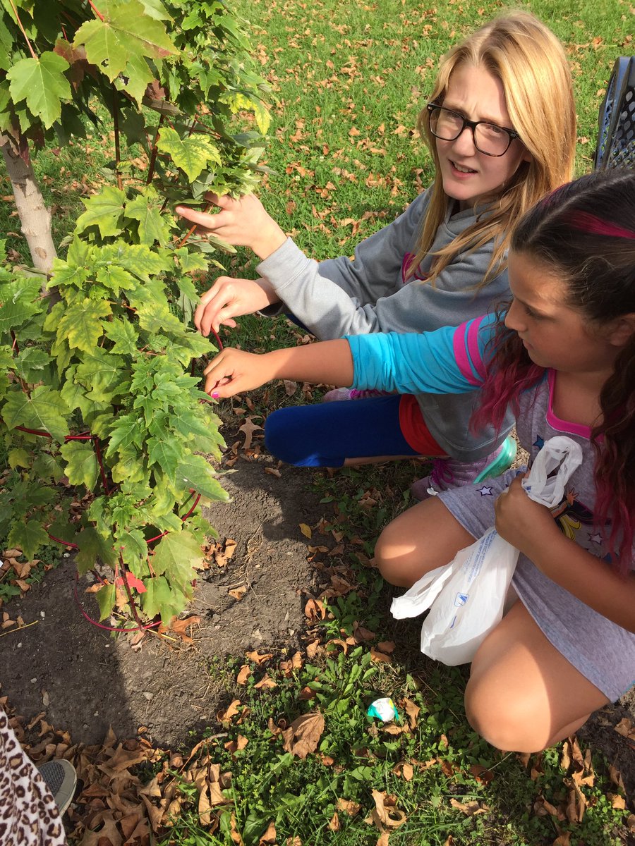 MrsPreston4th's tweet photo. 4th graders on an ecosystem scavenger hunt! https://t.co/yKqqBDxLL3
