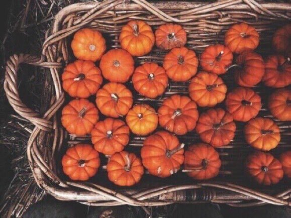 But dans la vie tweet media