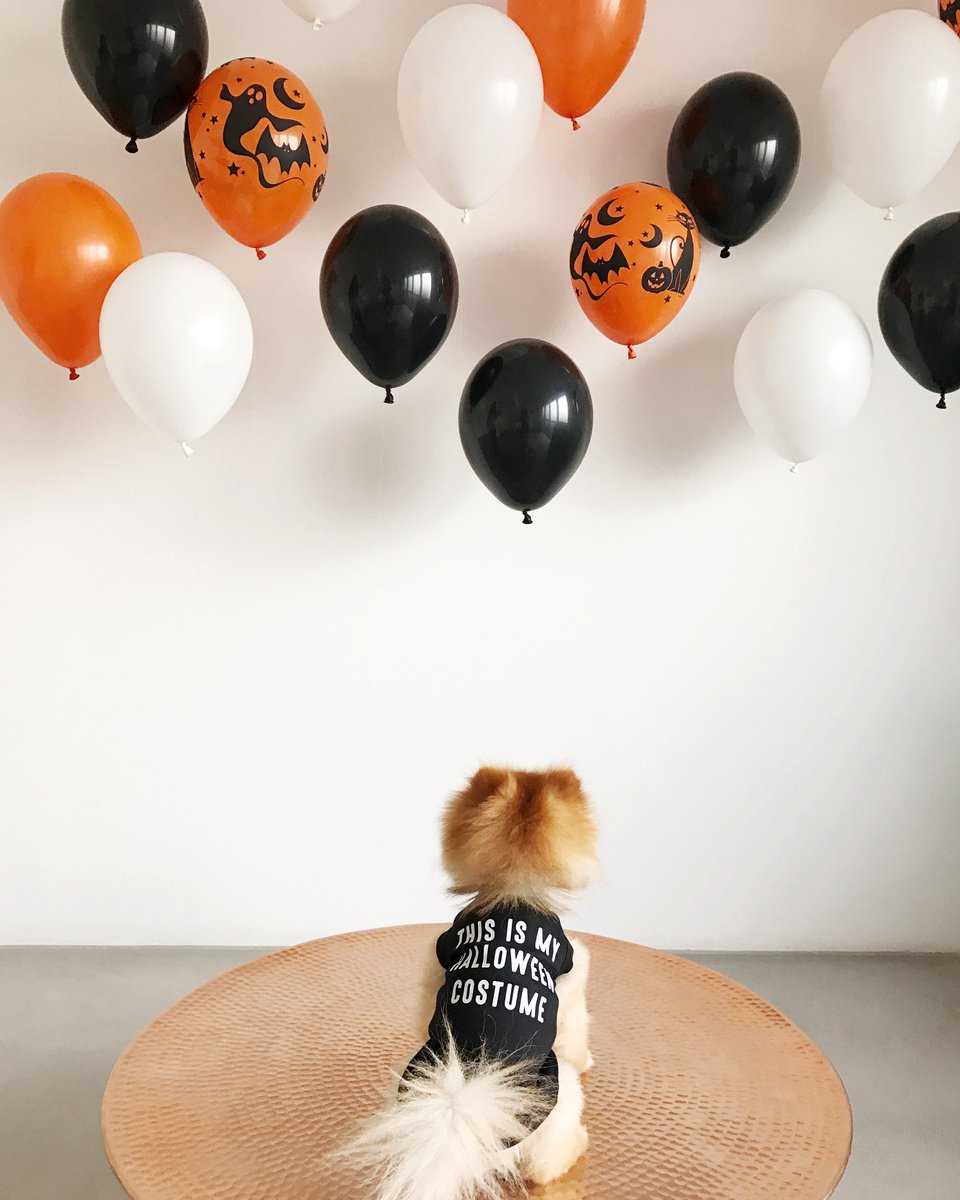 Foxes Events tweet media