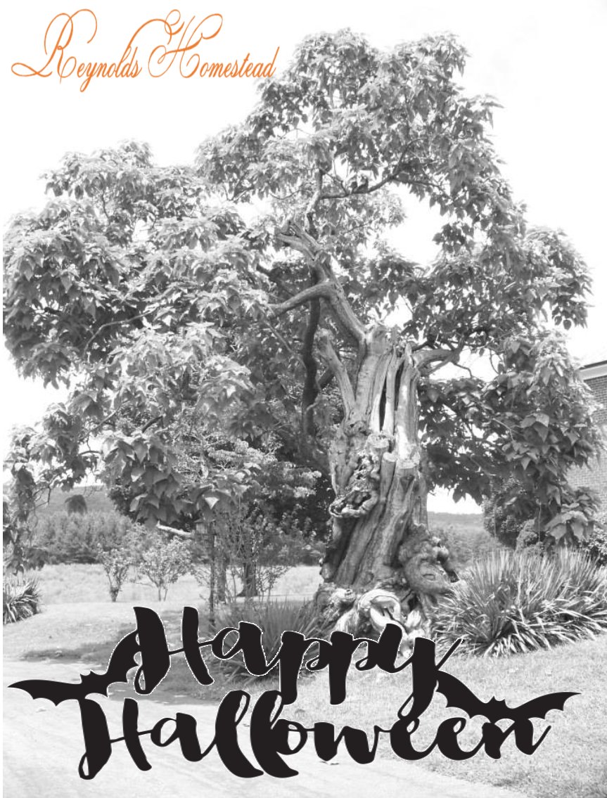 Reynolds Homestead tweet media