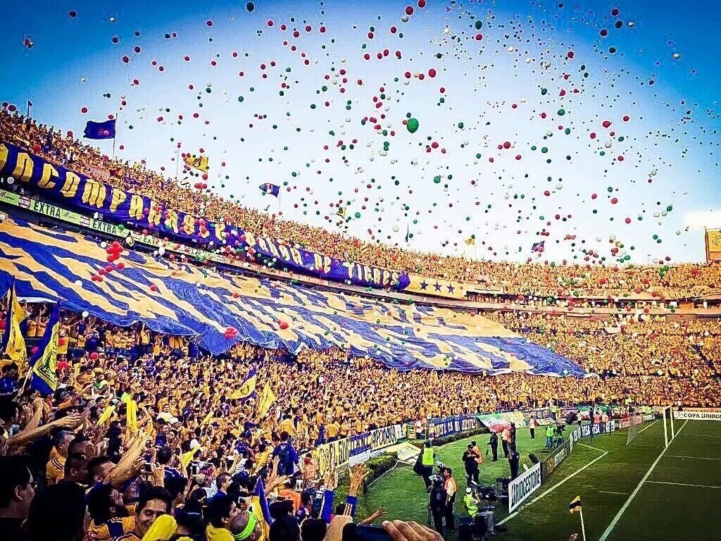 sergiodje's tweet photo. #FelizXVIIIDobleEle eterno carnaval 🎉 @LIBRESYLOKOS 😎 https://t.co/FRT2ThcW1e