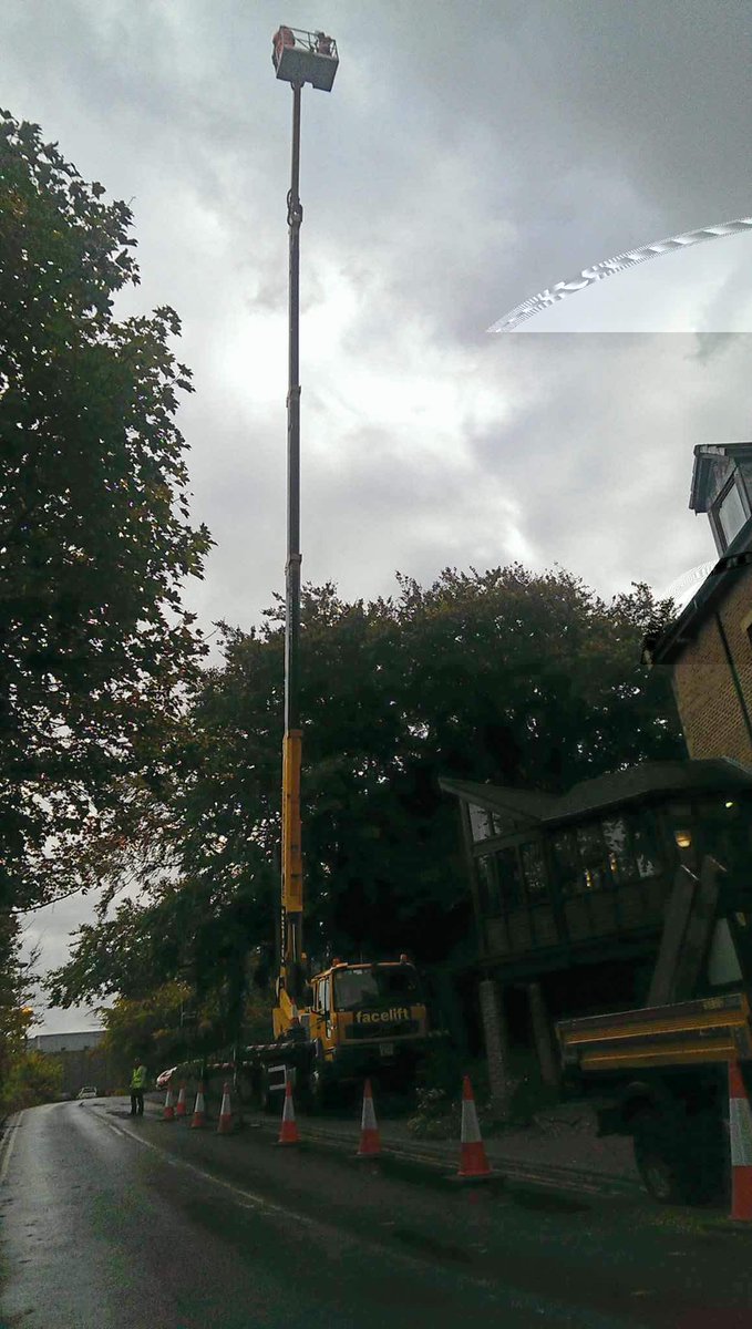 Absolute Arb Care (@absolutearbcare) on Twitter photo 