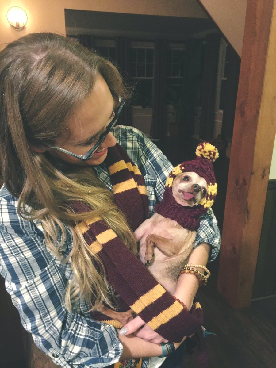 MrCrowley_Chi's tweet photo. Hogwarts is our home! ❤️💛❤️💛❤️💛 #gryffendor #harrypotter #halloween https://t.co/X1Sj8gFMUP