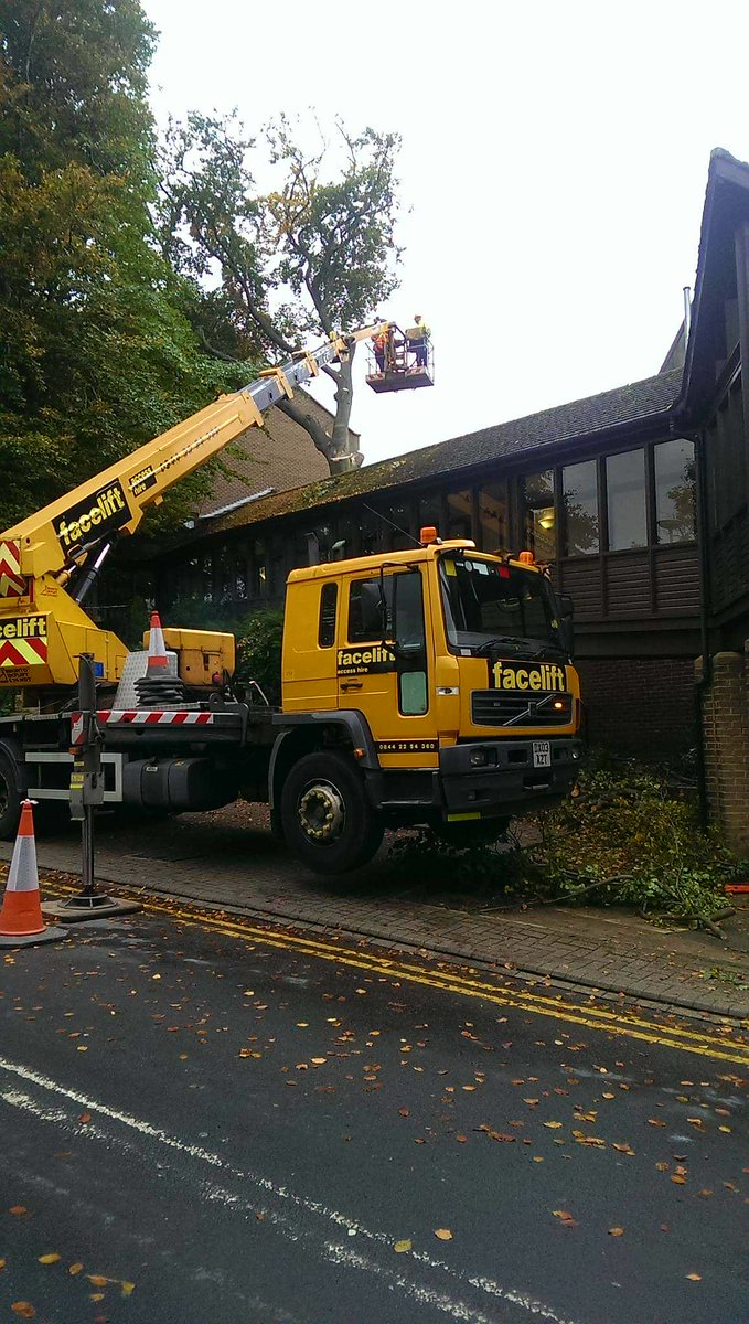 Absolute Arb Care (@absolutearbcare) on Twitter photo 