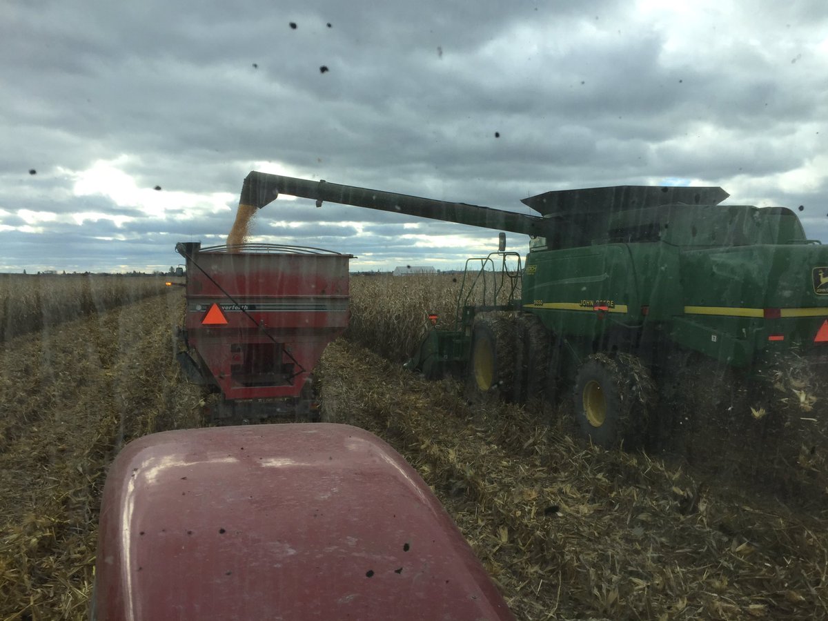 LeeLaframboise's tweet photo. Combining corn so far yield is 5250kg per acre. Moisture 24 @samcosystem https://t.co/KpJbB16eA8