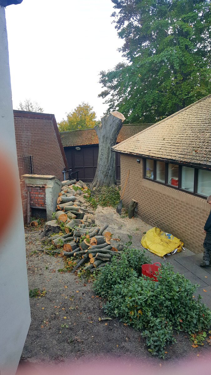 Absolute Arb Care (@absolutearbcare) on Twitter photo 