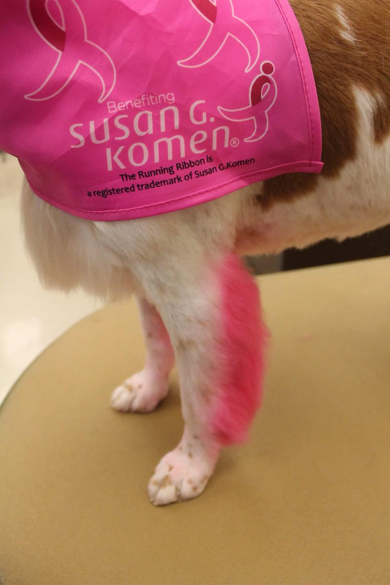Petsmart1167 tweet media