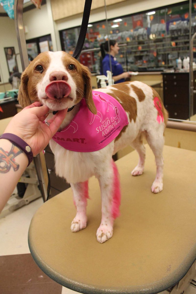 Petsmart1167 tweet media