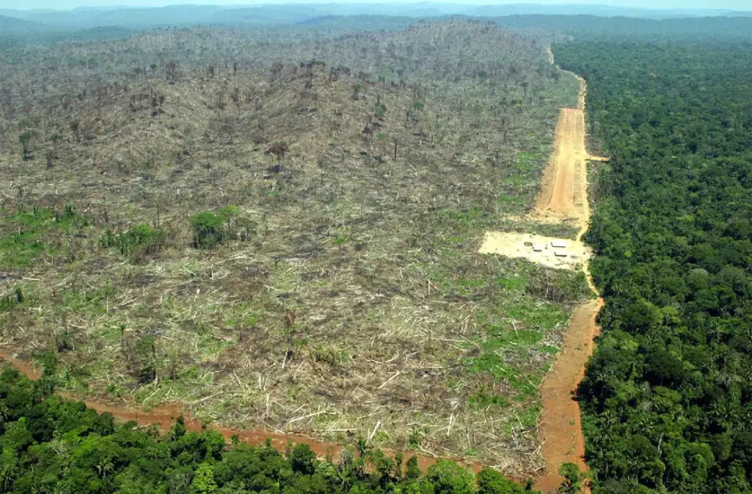 2142 ha/dia de deforestación en el chaco paraguayo #AntesQueSeaTarde ¿el costo ambiental quien lo paga?