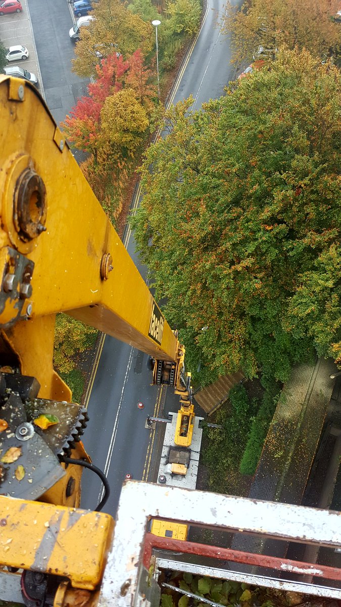 Absolute Arb Care (@absolutearbcare) on Twitter photo 