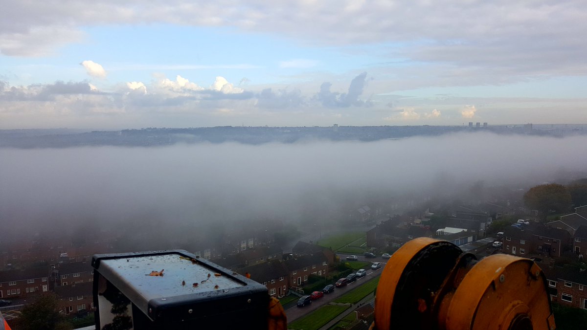 Absolute Arb Care (@absolutearbcare) on Twitter photo 