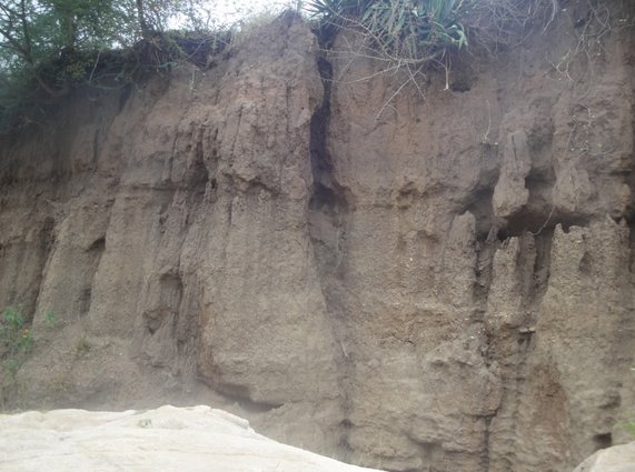 Milele_FM's tweet photo. Watu 4 wafariki baada ya kufunikwa na mchanga ndani ya mtaro huko Athi River  https://t.co/LQQaIEoRVB https://t.co/qawOjpAVUB