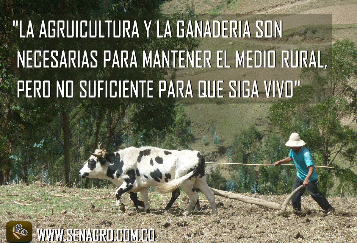 ganaderoespacio's tweet photo. #agricultura y #Ganaderia son necesarias para el medio #rural pero no para que siga #Vivo #AgriculturaAmericas #CampoFuturoCNA #Senagro https://t.co/skKFcJaG9Y