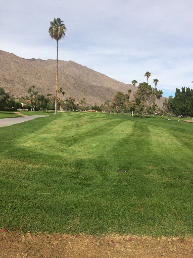 canyons_golf's tweet photo. North Course now open! https://t.co/Lj8UWnft0H