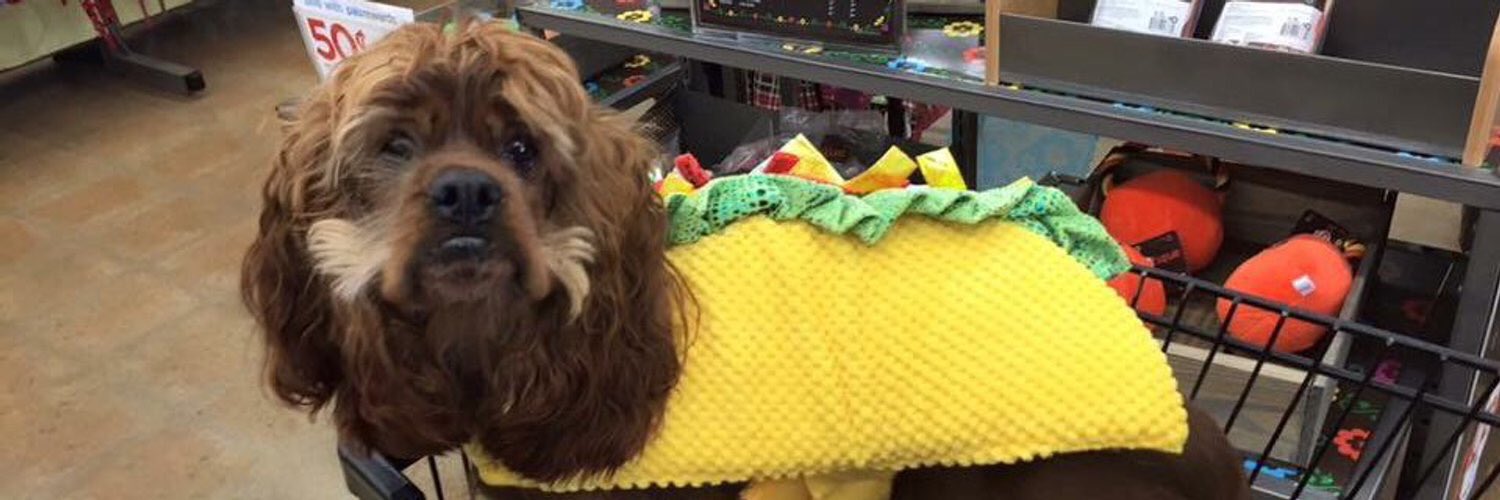 South Park on Twitter "Happy Halloween! Show us your SouthPark