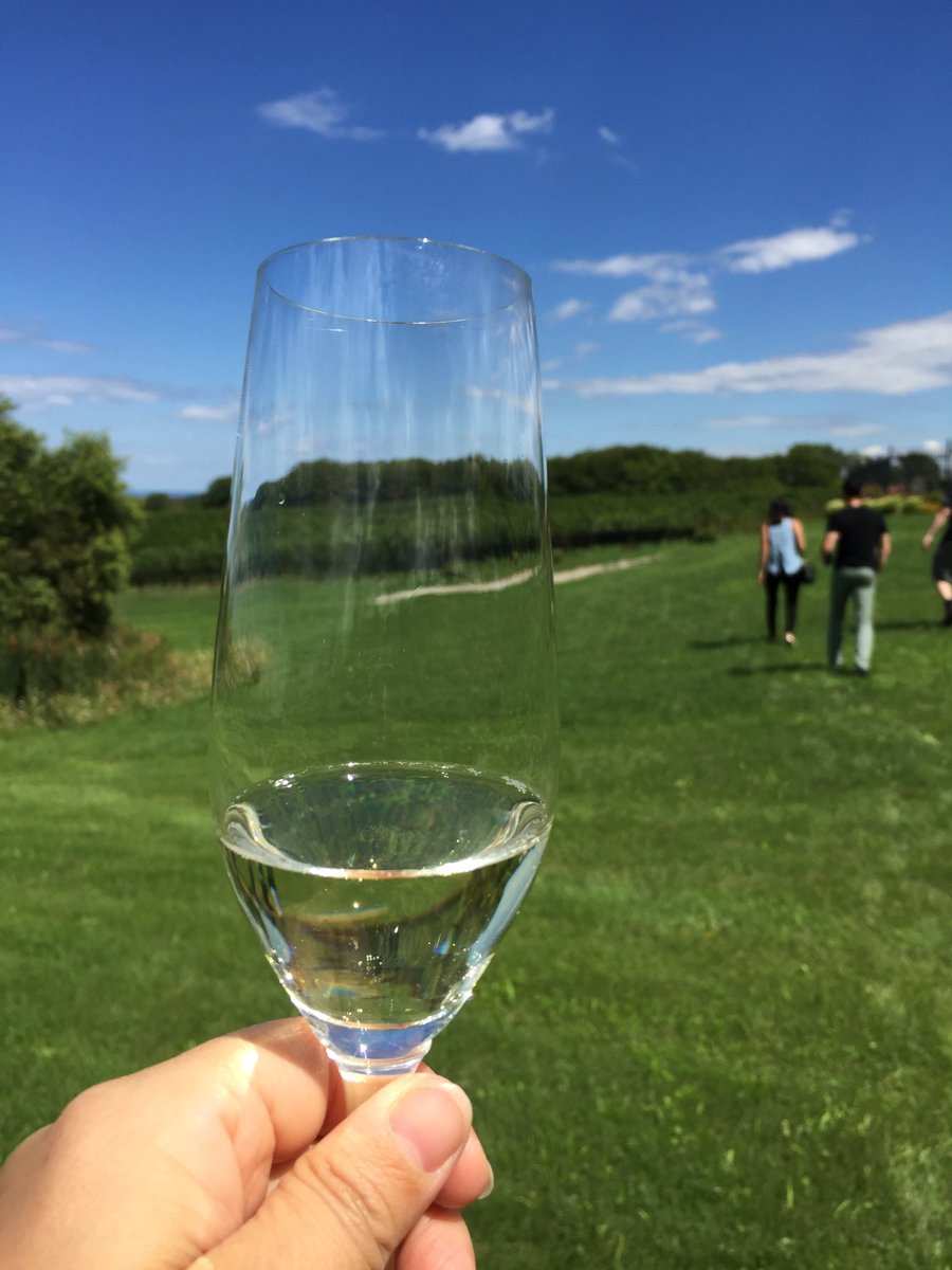 RitzCarlton's tweet photo. Good afternoon from @RitzCarlton #Toronto, follow along today
as we share our curated wine experiences. https://t.co/TJpDvwG6JA