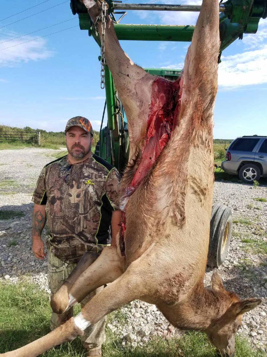 okdeerprocessor's tweet photo. Chris Welborn-345lb ELK https://t.co/q93GHfZlK0 … #meatinthefreezer #bringusyourkills #mudcreekprocessing https://t.co/NC8cgodSpE