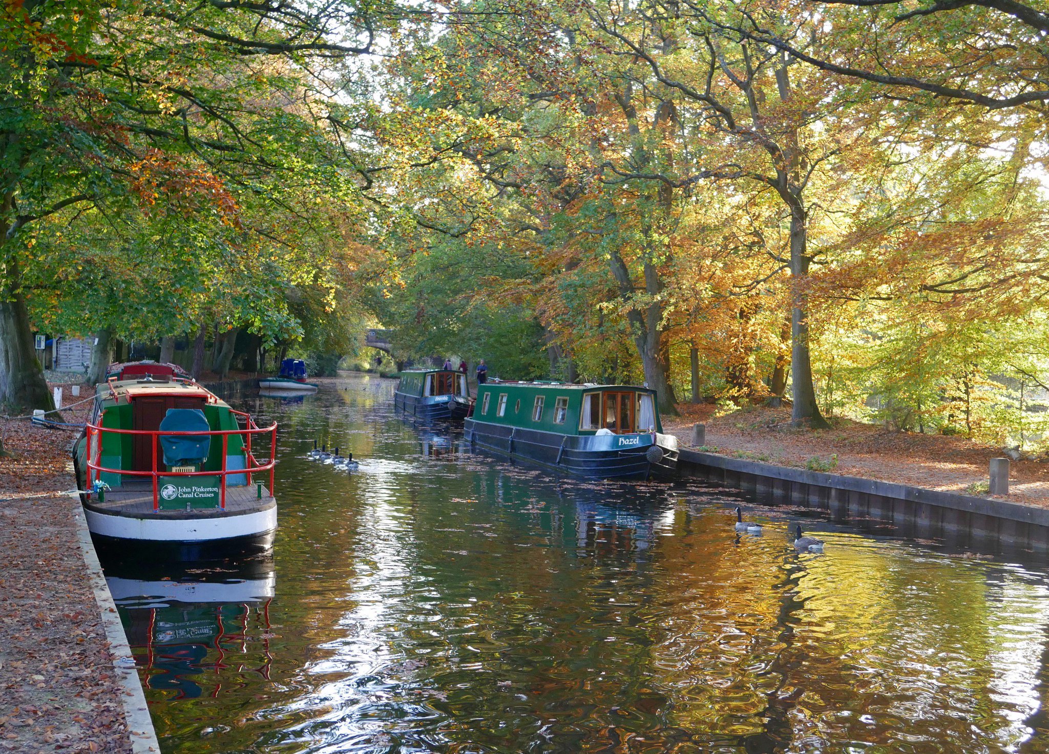 Basingstoke Canal On Twitter Fabulous Autumn Colours In The Sunshine basingstoke-canal-on-twitter-fabulous-autumn-colours-in-the-sunshine
