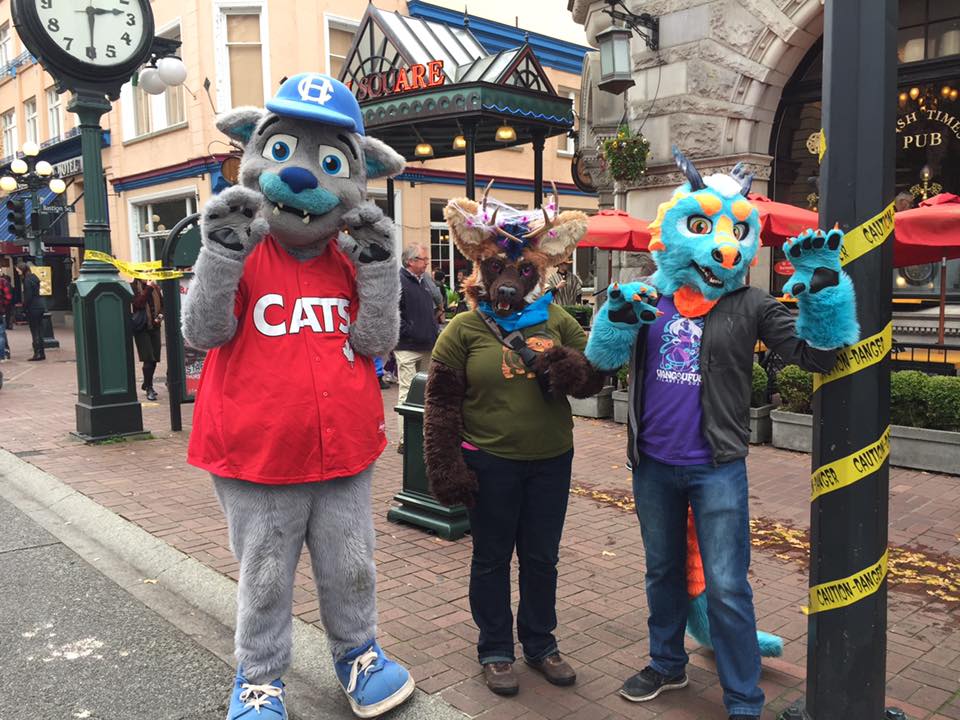 HarbourCats's tweet photo. Everybody have a safe and fun Halloween! ...That means you, @HarveyHCat!
 #YYJ #YYJCats https://t.co/2ZXPAUGWnd