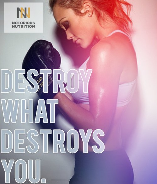 notorioussupps's tweet photo. https://t.co/402x7k2S7c
