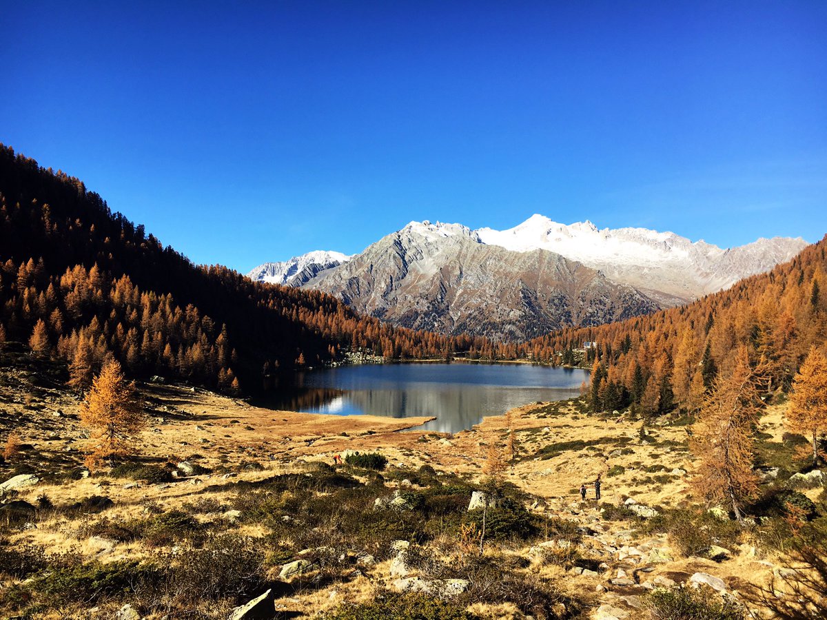 #laghisangiuliano #camminata #colori #autunno