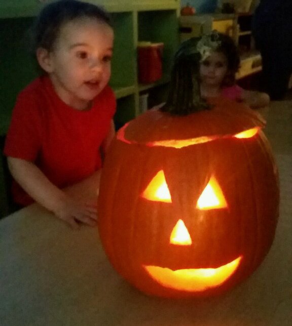 BK Preschool Science tweet media