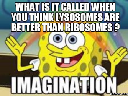 gotthatribevibe's tweet photo. @Lysolosomeee :) https://t.co/ehQJtzol3y