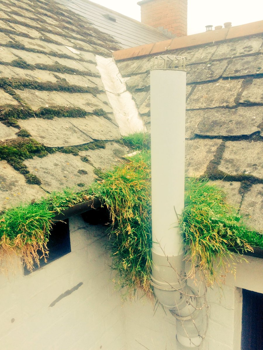 jmsbelfast's tweet photo. Guttering system cleaned out today in time for winter. https://t.co/0ekKyg5rUC https://t.co/OsVvRg8LjG