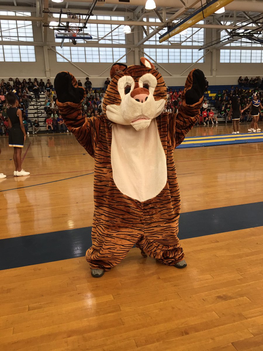 cdlagant's tweet photo. Tiger Team does it right @EastGarnerMMS PBIS @bcolescience @MHockaday @misssokolowski @MacGovernM https://t.co/gHOZsHojCI